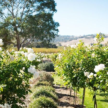 טנודה Barossa Vineyard Cottages מראה חיצוני תמונה