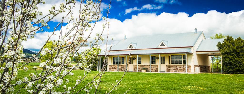 טנודה Barossa Vineyard Cottages מראה חיצוני תמונה