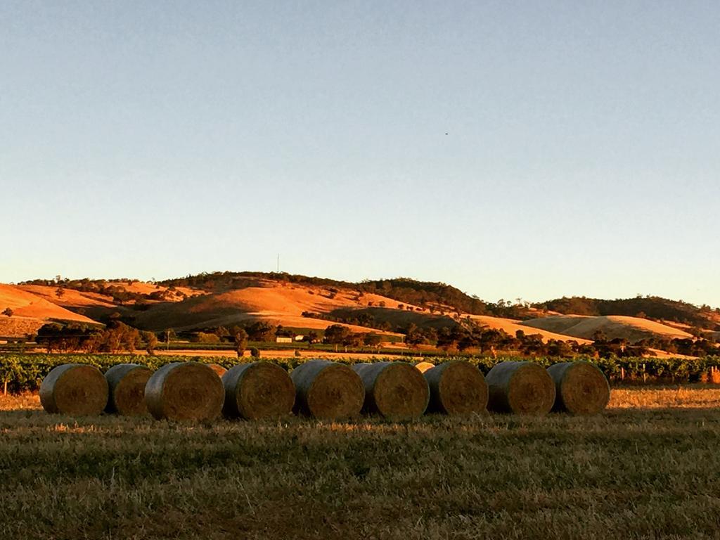 טנודה Barossa Vineyard Cottages מראה חיצוני תמונה