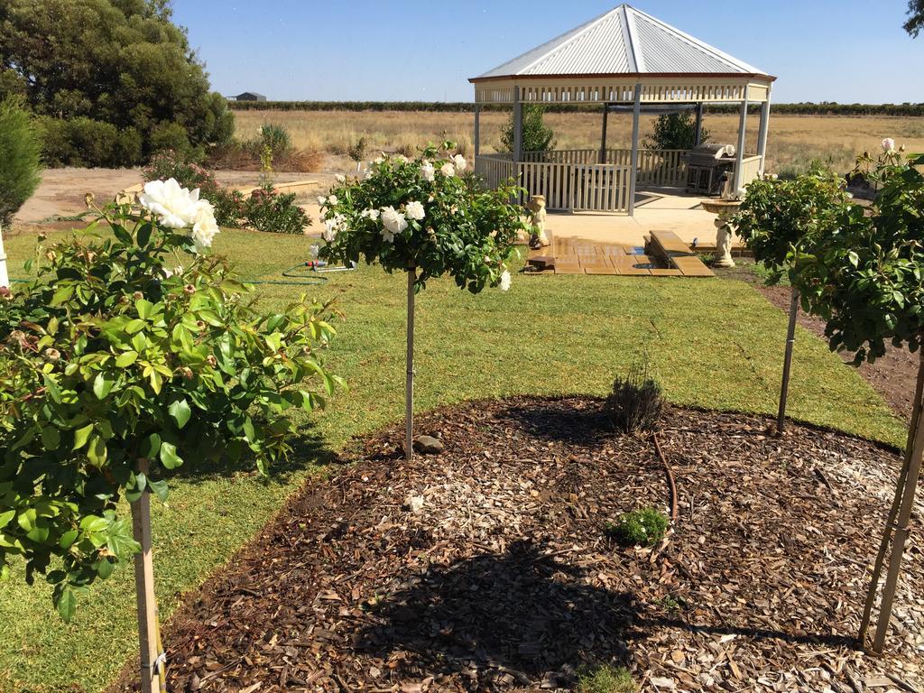 טנודה Barossa Vineyard Cottages מראה חיצוני תמונה