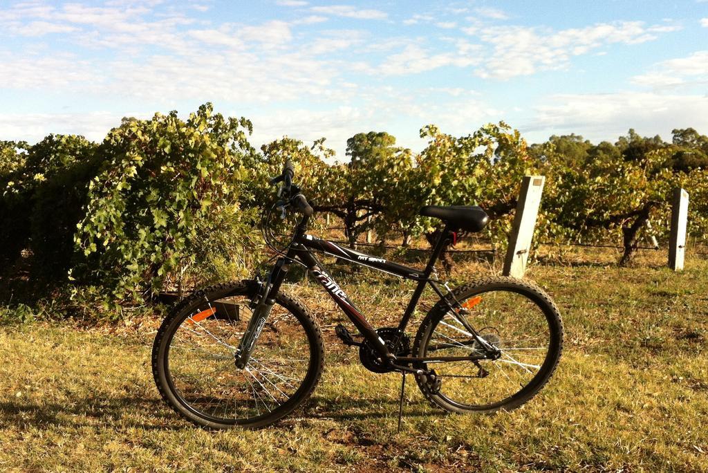 טנודה Barossa Vineyard Cottages מראה חיצוני תמונה