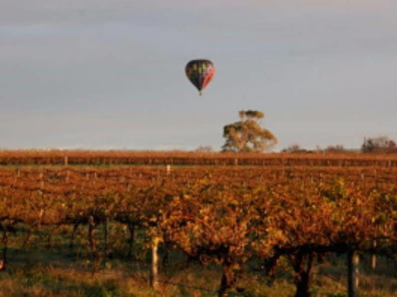 טנודה Barossa Vineyard Cottages מראה חיצוני תמונה