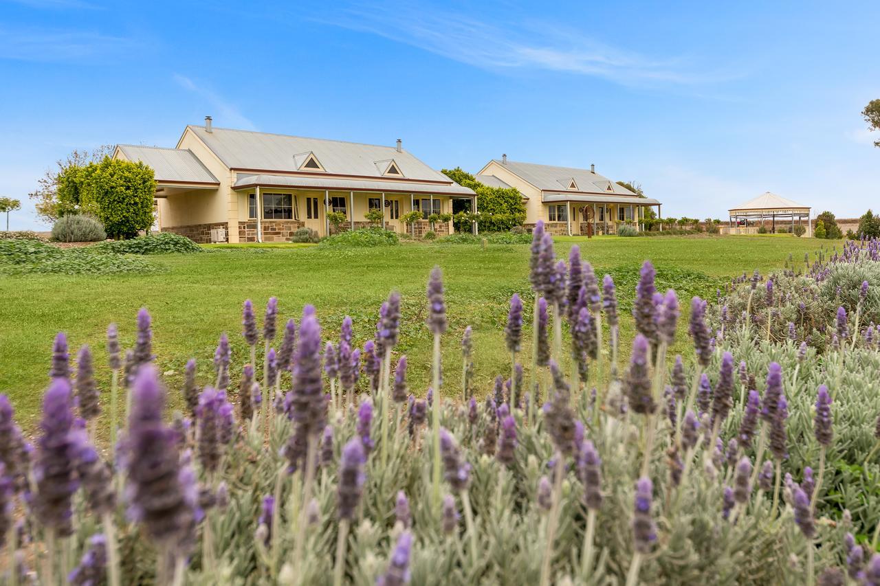 טנודה Barossa Vineyard Cottages מראה חיצוני תמונה